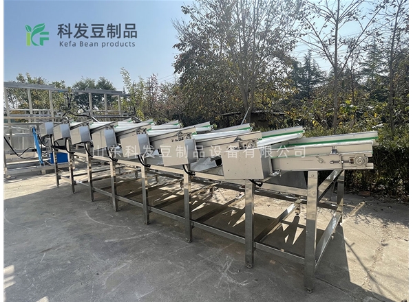 大型黃豆芽清洗機